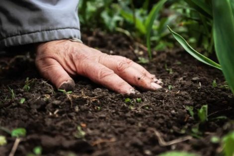 Agronomia novas técnicas apuram identidade dos solos